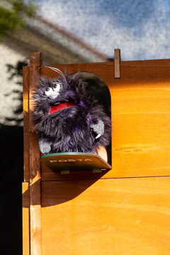 Tinko Celinko 9.7 (6)